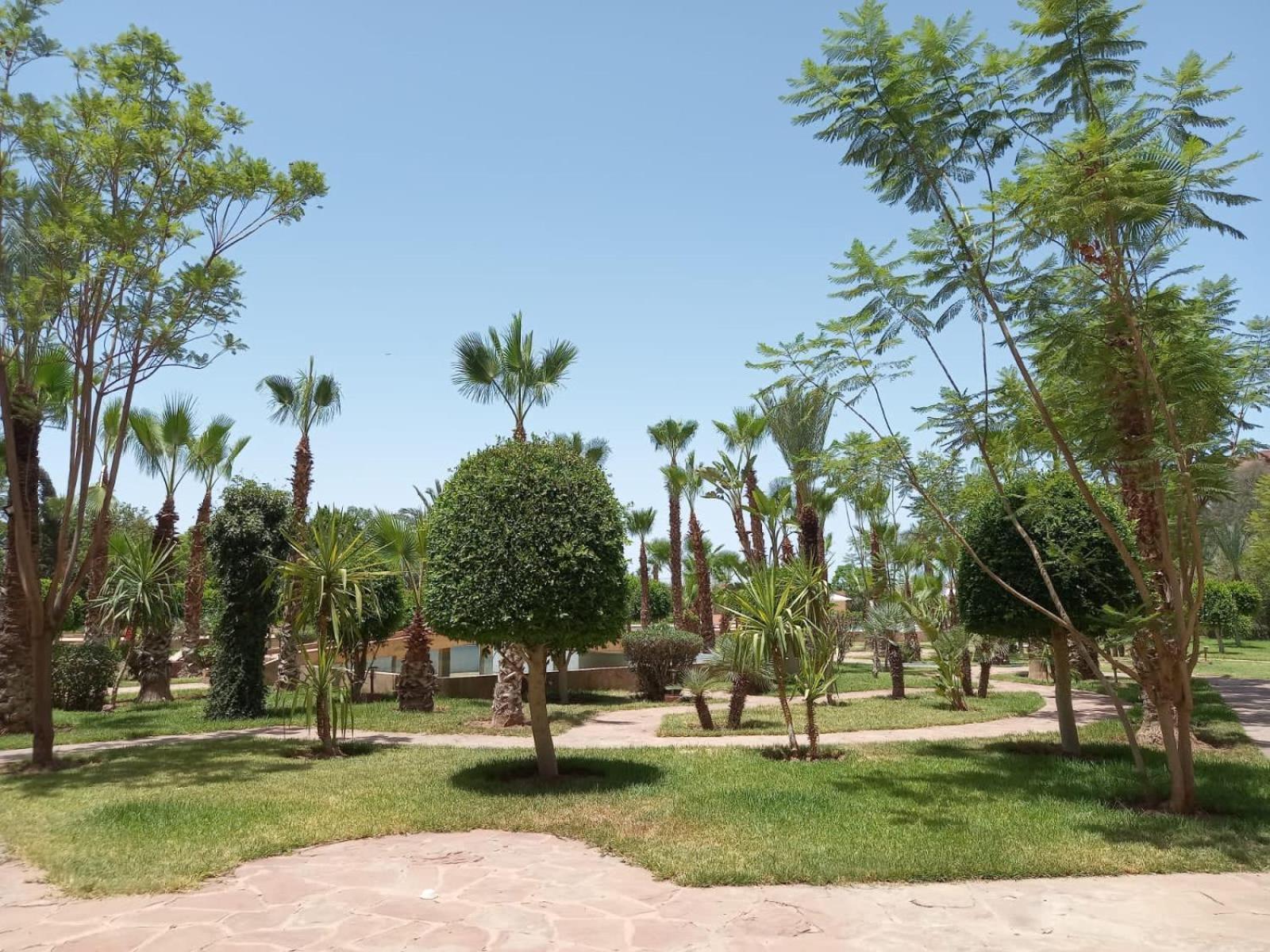 Marrakech M Avenue Terrasse Jardin Apartment Marrakesh Exterior photo